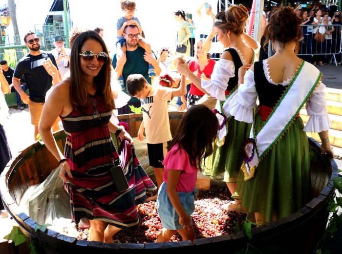 WhatsApp Image 2026-03-15 at 13.24.46