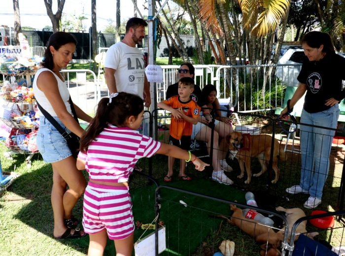 WhatsApp Image 2026-03-15 at 13.24.49