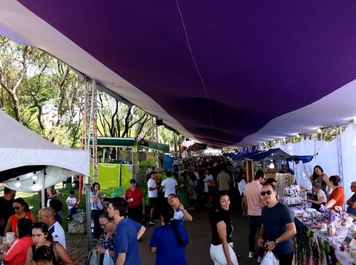 WhatsApp Image 2026-03-15 at 13.24.50