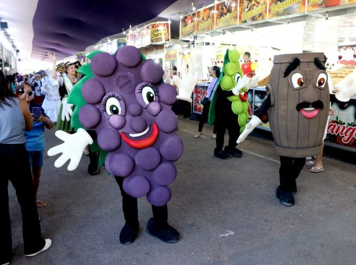 WhatsApp Image 2026-03-15 at 13.24.52