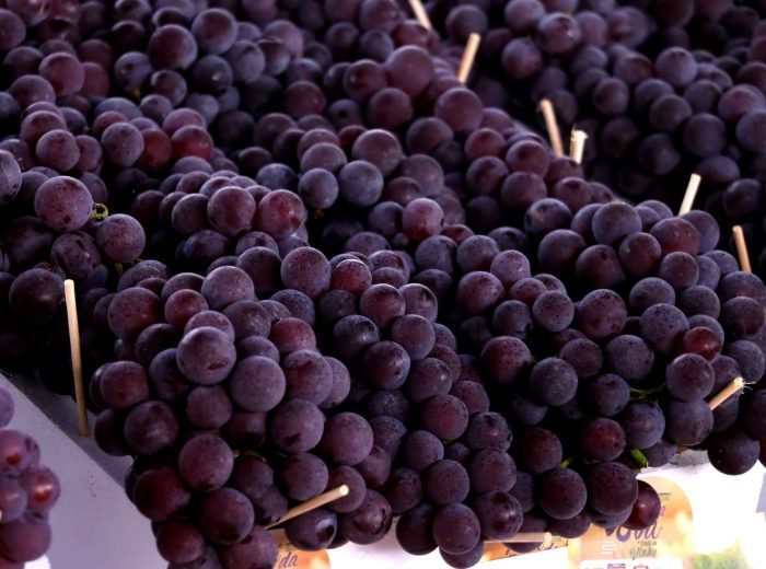 WhatsApp Image 2026-03-15 at 13.25.00 (1)