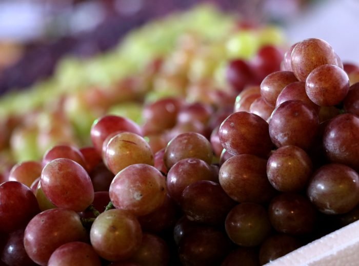 WhatsApp Image 2026-03-15 at 13.25.01 (1)